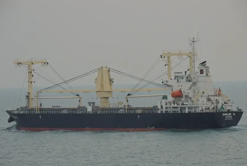 SHINLINE 12 General Cargo IMO 9629225 photo 8