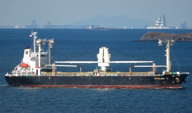 SHINLINE 15 General Cargo IMO 9629237 photo 9