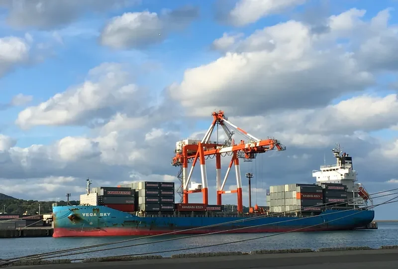 VEGA SKY Container Ship IMO 9629407 photo 2