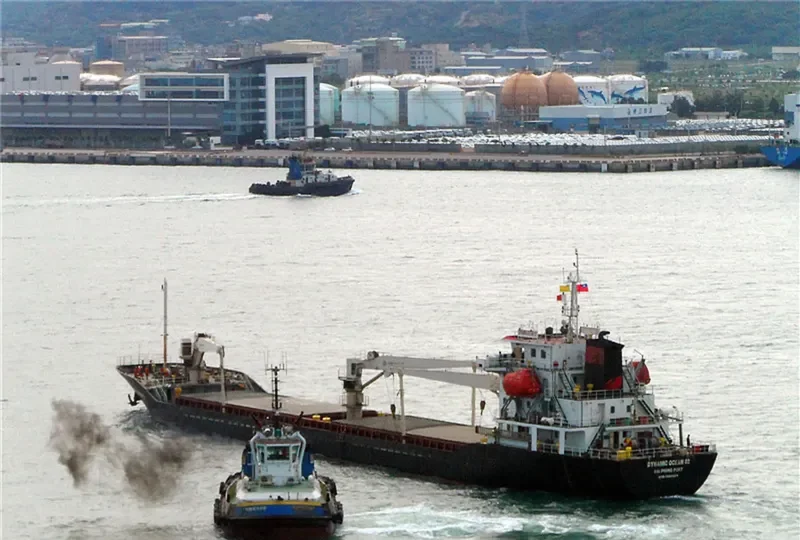 DUC DAT 666 Bulk Carrier IMO 9629471 photo 2