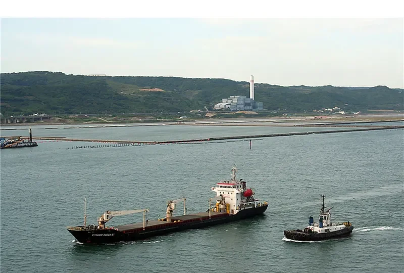 DUC DAT 666 Bulk Carrier IMO 9629471 photo 3