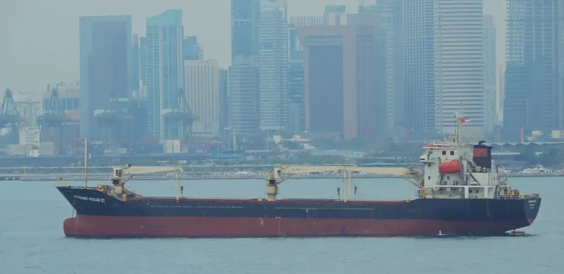 DUC DAT 666 Bulk Carrier IMO 9629471 photo 4