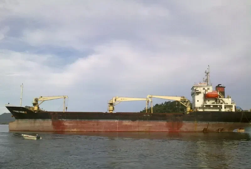 DUC DAT 666 Bulk Carrier IMO 9629471 photo 5