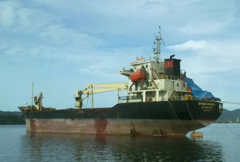 DUC DAT 666 Bulk Carrier IMO 9629471 photo 6