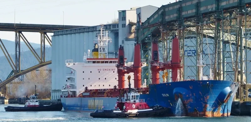 SOLIN Bulk Carrier IMO 9629483 photo 4