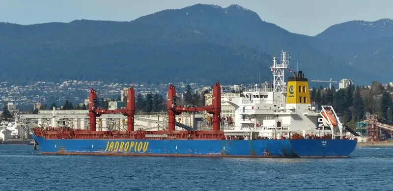 SOLIN Bulk Carrier IMO 9629483 photo 6