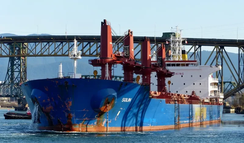 SOLIN Bulk Carrier IMO 9629483 photo 7