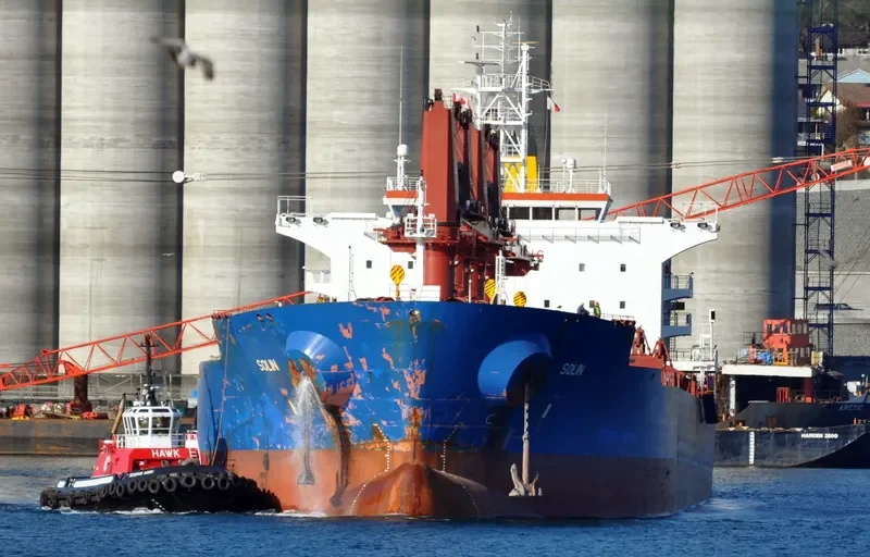 SOLIN Bulk Carrier IMO 9629483 photo 8