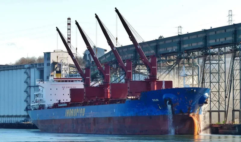 SOLIN Bulk Carrier IMO 9629483 photo 10