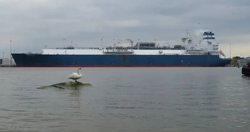 INDEPENDENCE General Cargo IMO 9629536
