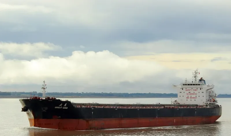 GREAT MIND Bulk Carrier IMO 9629627 photo 2