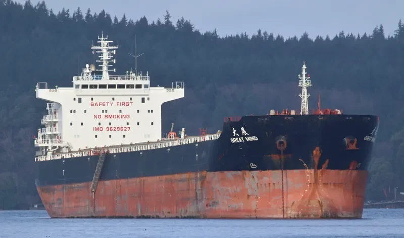 GREAT MIND Bulk Carrier IMO 9629627 photo 3