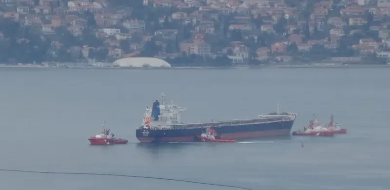 GREAT MIND Bulk Carrier IMO 9629627 photo 4