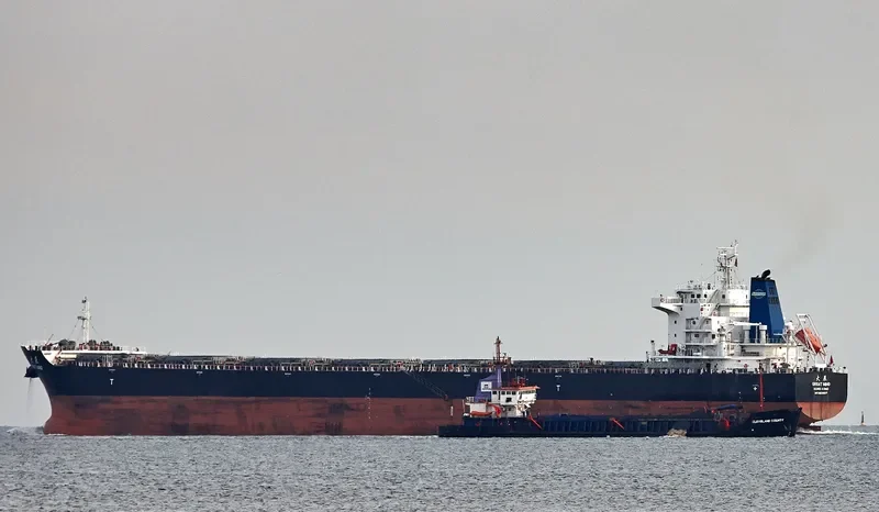 GREAT MIND Bulk Carrier IMO 9629627 photo 5