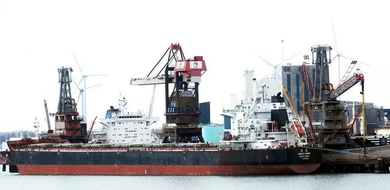 GREAT MIND Bulk Carrier IMO 9629627 photo 10