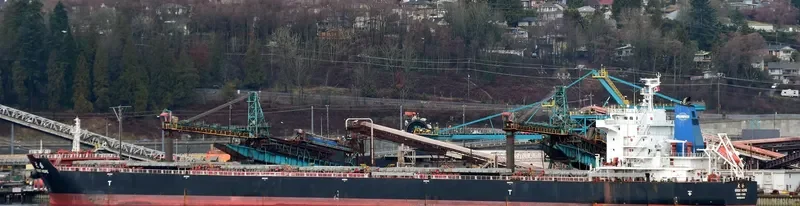GREAT HOPE Bulk Carrier IMO 9629639