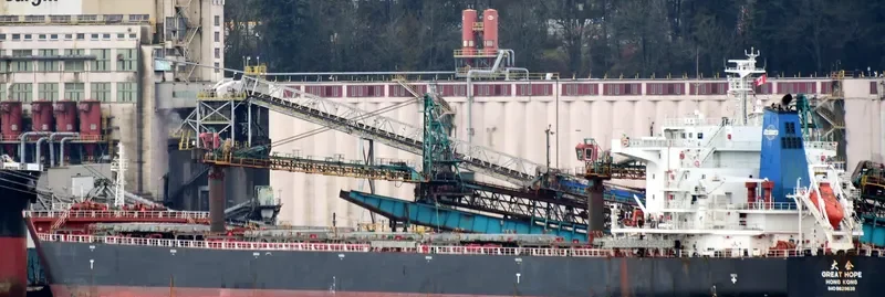 GREAT HOPE Bulk Carrier IMO 9629639 photo 2