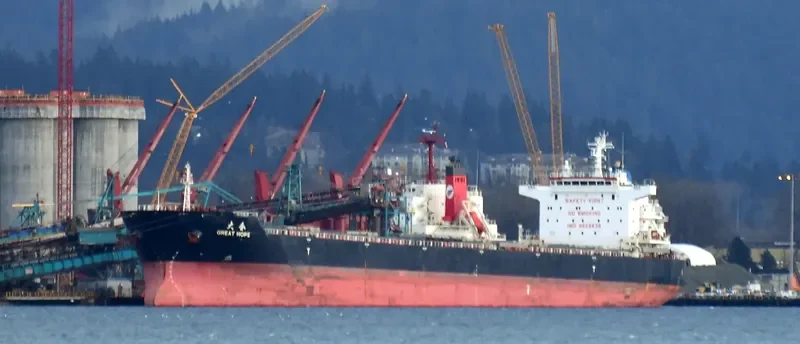 GREAT HOPE Bulk Carrier IMO 9629639 photo 3