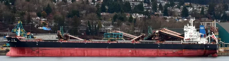 GREAT HOPE Bulk Carrier IMO 9629639 photo 4