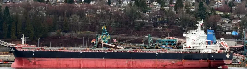 GREAT HOPE Bulk Carrier IMO 9629639 photo 5