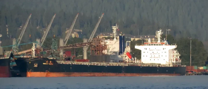 GREAT HOPE Bulk Carrier IMO 9629639 photo 8
