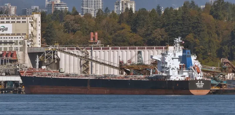 GREAT HOPE Bulk Carrier IMO 9629639 photo 9