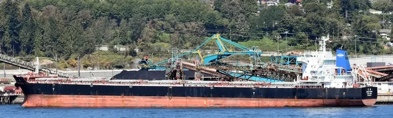 GREAT HOPE Bulk Carrier IMO 9629639 photo 10