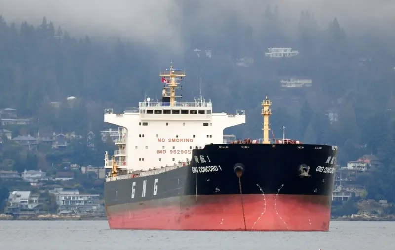 GNG CONCORD 1 Bulk Carrier IMO 9629653 photo 2