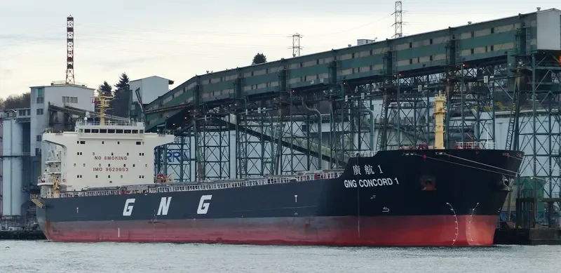 GNG CONCORD 1 Bulk Carrier IMO 9629653 photo 3