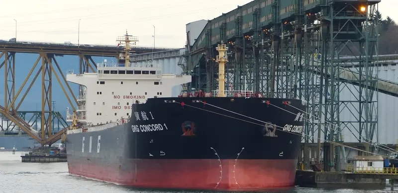 GNG CONCORD 1 Bulk Carrier IMO 9629653 photo 4
