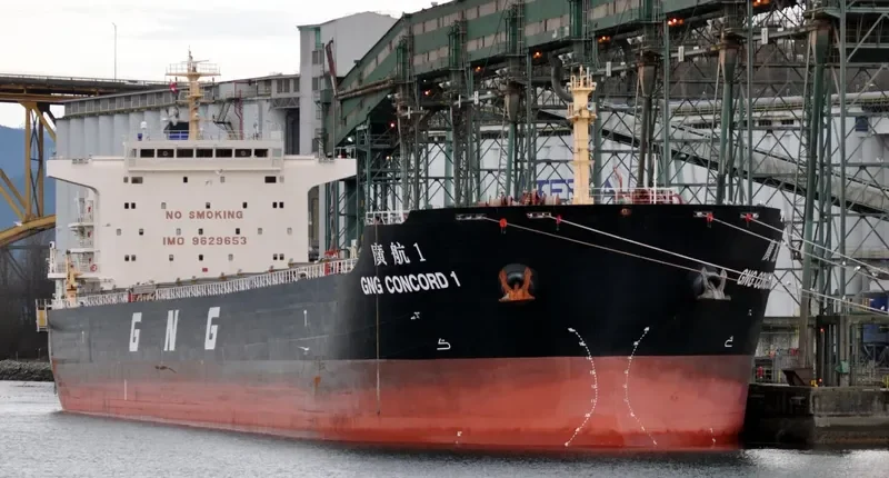 GNG CONCORD 1 Bulk Carrier IMO 9629653 photo 5