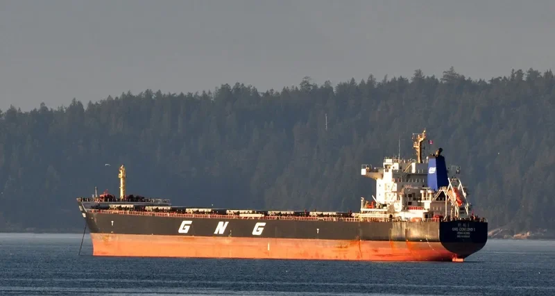GNG CONCORD 1 Bulk Carrier IMO 9629653 photo 6