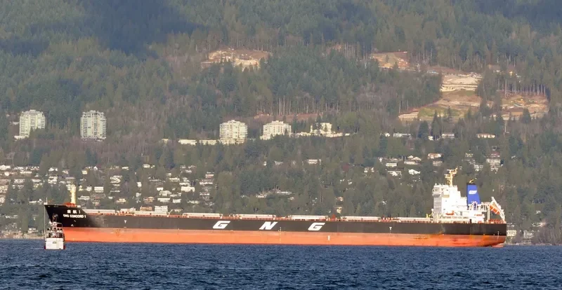 GNG CONCORD 1 Bulk Carrier IMO 9629653 photo 7