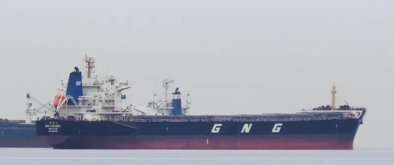 GNG CONCORD 1 Bulk Carrier IMO 9629653 photo 9