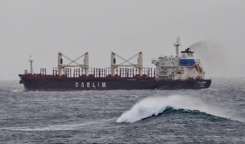 DL JASMINE Bulk Carrier IMO 9629665