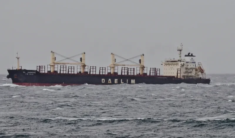 DL JASMINE Bulk Carrier IMO 9629665 photo 2