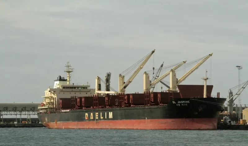 DL JASMINE Bulk Carrier IMO 9629665 photo 3