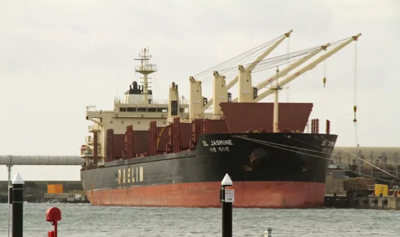 DL JASMINE Bulk Carrier IMO 9629665 photo 4