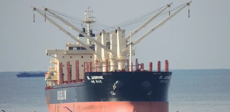 DL JASMINE Bulk Carrier IMO 9629665 photo 5