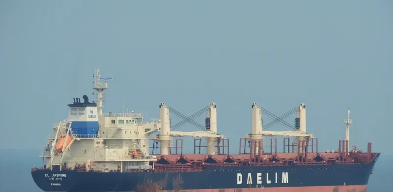 DL JASMINE Bulk Carrier IMO 9629665 photo 6