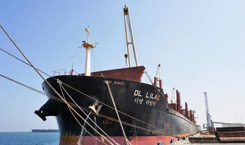 DL LILAC Bulk Carrier IMO 9629677