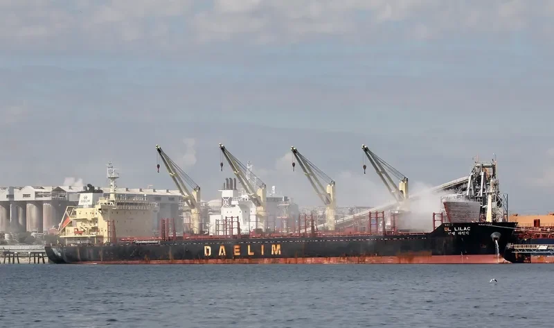 DL LILAC Bulk Carrier IMO 9629677 photo 2