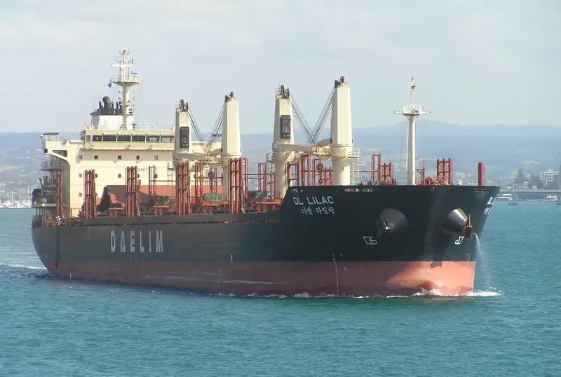 DL LILAC Bulk Carrier IMO 9629677 photo 4