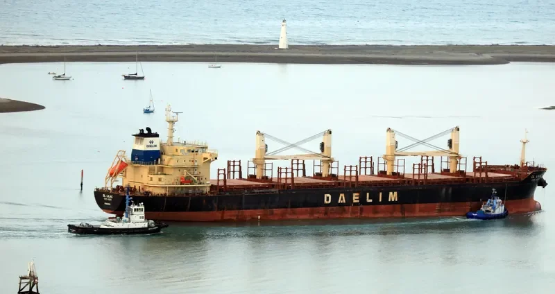 DL LILAC Bulk Carrier IMO 9629677 photo 5