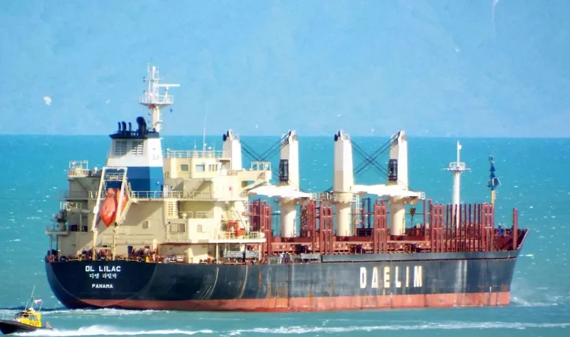 DL LILAC Bulk Carrier IMO 9629677 photo 6