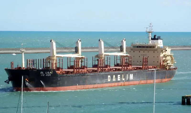 DL LILAC Bulk Carrier IMO 9629677 photo 7