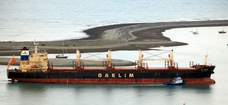 DL LILAC Bulk Carrier IMO 9629677 photo 8
