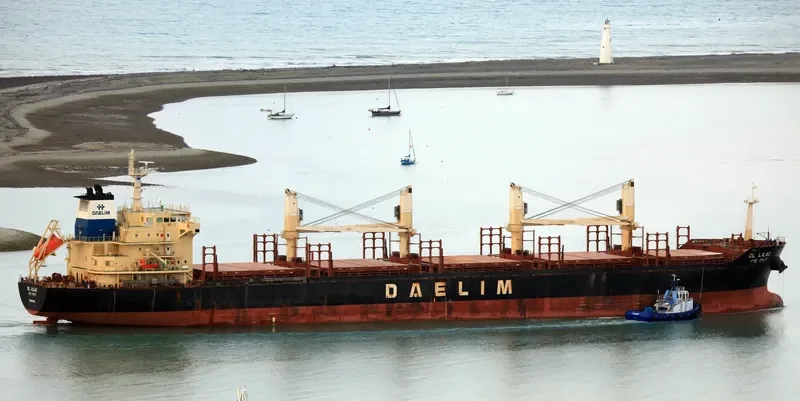 DL LILAC Bulk Carrier IMO 9629677 photo 9