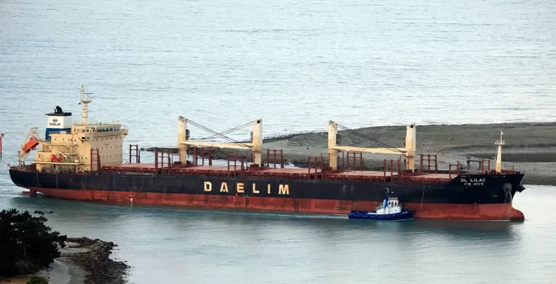 DL LILAC Bulk Carrier IMO 9629677 photo 10