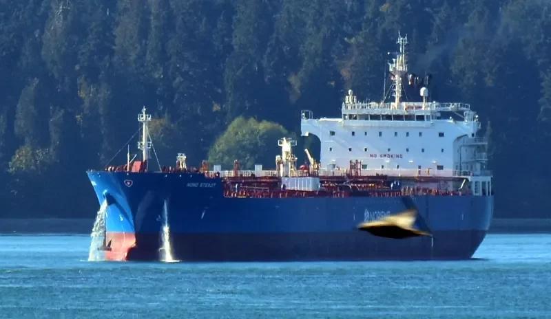 NORD STEADY Tanker IMO 9629706 photo 7